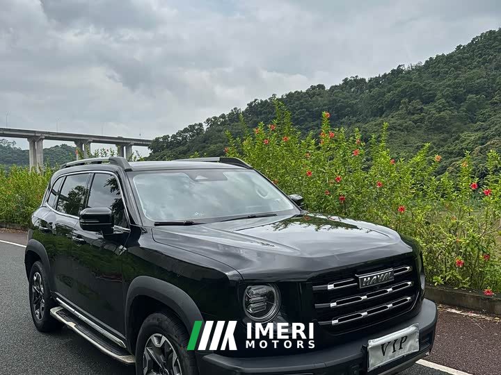 Great Wall Dachshund 2.0T DCT Four-wheel Drive Chinese Rural Dog Hunting Edition - ავტომობილი ჩინეთიდან