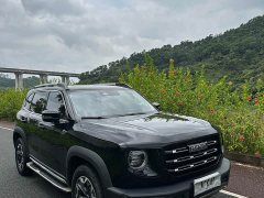 Great Wall Dachshund 2.0T DCT Four-wheel Drive Chinese Rural Dog Hunting Edition - ფოტო 1