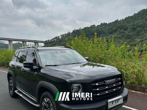2022 Great Wall Dachshund 2.0T DCT Four-wheel Drive Chinese Rural Dog Hunting Edition - ავტომობილი ჩინეთიდან