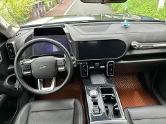 Great Wall Dachshund 2.0T DCT Four-wheel Drive Chinese Rural Dog Hunting Edition - ფოტო 10