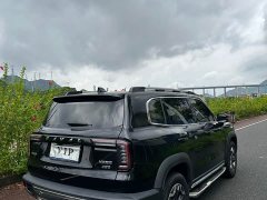 Great Wall Dachshund 2.0T DCT Four-wheel Drive Chinese Rural Dog Hunting Edition - ფოტო 14