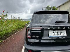 Great Wall Dachshund 2.0T DCT Four-wheel Drive Chinese Rural Dog Hunting Edition - ფოტო 16