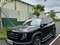 Great Wall Dachshund 2.0T DCT Four-wheel Drive Chinese Rural Dog Hunting Edition - ფოტო 3