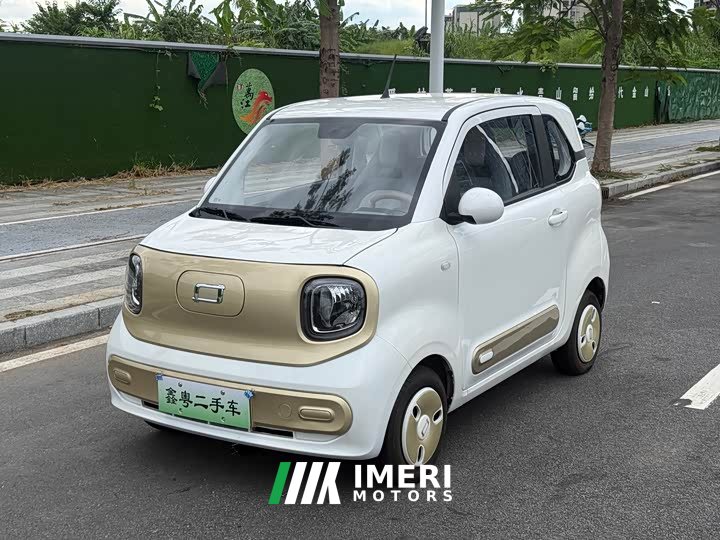 FAW Besturn Xiaoma 222km Dynamic Edition
