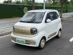 FAW Besturn Xiaoma 222km Dynamic Edition - ფოტო 1