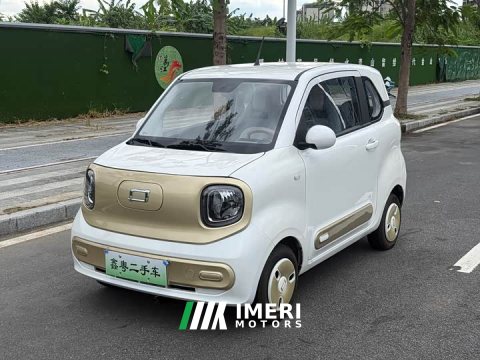 2025 FAW Besturn Xiaoma 222km Dynamic Edition - ავტომობილი ჩინეთიდან