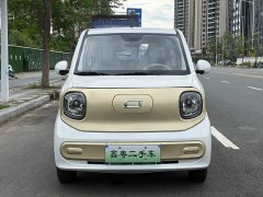 FAW Besturn Xiaoma 222km Dynamic Edition - ფოტო 2