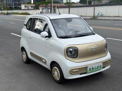 FAW Besturn Xiaoma 222km Dynamic Edition - ფოტო 3