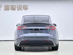 Tesla Model Y 2022 Performance All-Wheel Drive - ფოტო 16