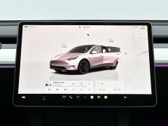 Tesla Model Y 2022 Performance All-Wheel Drive - ფოტო 9
