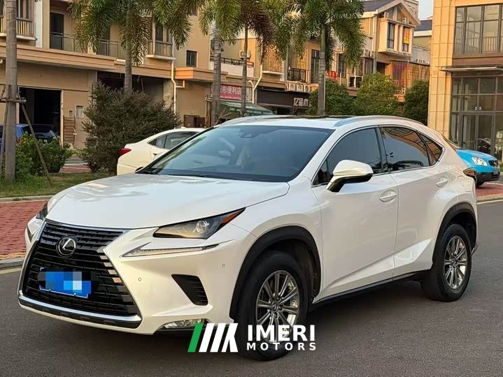 Lexus NX 2020 200 AWD Sharp Luxury Edition National VI - ავტომობილი ჩინეთიდან