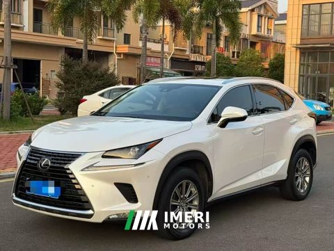 2021 Lexus NX 2020 200 AWD Sharp Luxury Edition National VI - ავტომობილი ჩინეთიდან