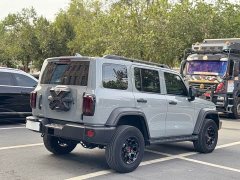 Tank 300 Off-Road Edition 2.0T Conqueror - ფოტო 15