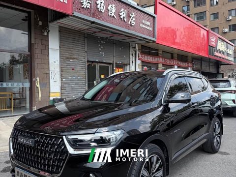 2023 Haval H6 National Trend Edition 1.5T Automatic Champion Version - ავტომობილი ჩინეთიდან