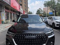 Haval H6 National Trend Edition 1.5T Automatic Champion Version - ფოტო 2