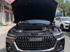 Haval H6 National Trend Edition 1.5T Automatic Champion Version - ფოტო 8