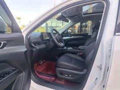 Ford Lingrui EcoBoost 170 Platinum Edition - ფოტო 4