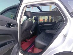 Ford Lingrui EcoBoost 170 Platinum Edition - ფოტო 6