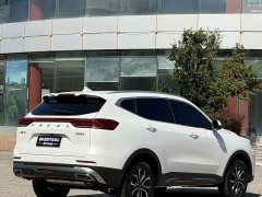 Haval H6 2021 1.5T Automatic Urban Edition - ფოტო 6