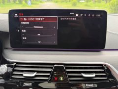 BMW 5 Series Facelift 530Li Premier M Sport Package - ფოტო 8