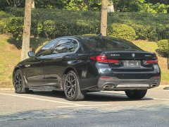 BMW 5 Series 530Li Luxury M Sport Package - ფოტო 10