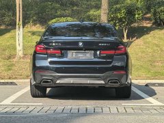 BMW 5 Series 530Li Luxury M Sport Package - ფოტო 11