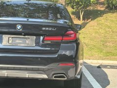 BMW 5 Series 530Li Luxury M Sport Package - ფოტო 15