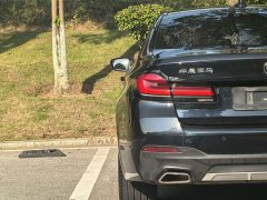 BMW 5 Series 530Li Luxury M Sport Package - ფოტო 9