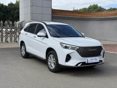 Haval M6 PLUS 1.5T Manual Elite Smart Connected Edition - ფოტო 3