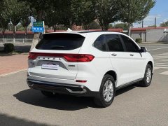 Haval M6 PLUS 1.5T Manual Elite Smart Connected Edition - ფოტო 6