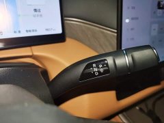 Great Wall WEY Shanshan New Energy Four-Wheel Drive Shanshan 8 - ფოტო 10