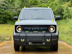 Geely Panda 200km Panda Knight - ფოტო 2