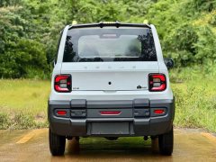 Geely Panda 200km Panda Knight - ფოტო 5
