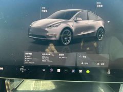 Tesla Model Y Rear-Wheel Drive - ფოტო 7