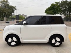 Changan Lumin 2023 205km Xiangqin Edition - ფოტო 8