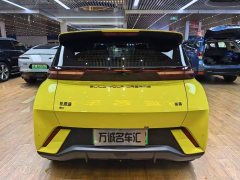 BYD Seagull 2024 Glory Edition 405km Flying Edition - ფოტო 17