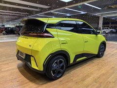 BYD Seagull 2024 Glory Edition 405km Flying Edition - ფოტო 19