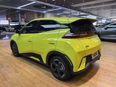 BYD Seagull 2024 Glory Edition 405km Flying Edition - ფოტო 20