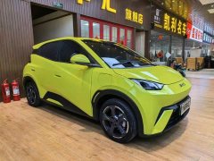 BYD Seagull 2024 Glory Edition 405km Flying Edition - ფოტო 3
