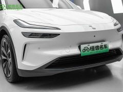 Nio Lerado L60 2024 60kWh AWD - ფოტო 10