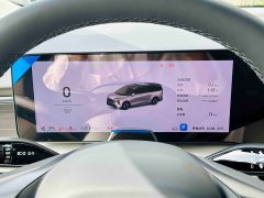 Buick Zhijing Shijia Luxury Edition - ფოტო 11