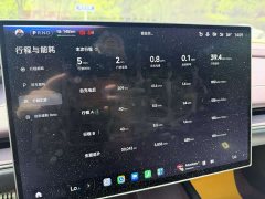 Xiaomi SU7 Quad Motor Max Founder Edition - ფოტო 16