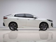 BMW X2 (Imported) 2024 sDrive25i M Sport Package - ფოტო 8
