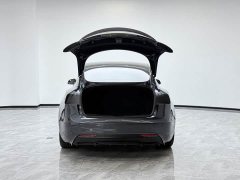 Tesla Model 3 High Performance All-Wheel Drive - ფოტო 10