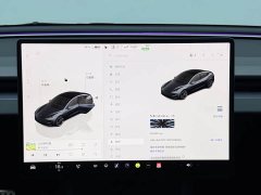 Tesla Model 3 High Performance All-Wheel Drive - ფოტო 15