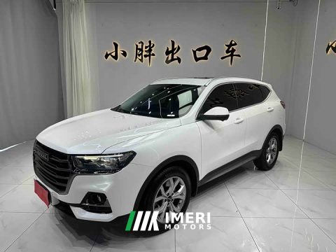 2022 Haval H6 2021 National Trend 1.5T Automatic Champion Edition - ავტომობილი ჩინეთიდან