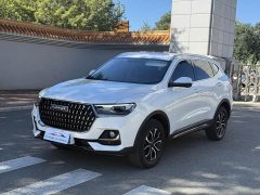 Haval H6 National Trend Edition 1.5T Automatic Urban Version - ფოტო 1