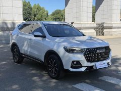 Haval H6 National Trend Edition 1.5T Automatic Urban Version - ფოტო 3