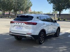 Haval H6 National Trend Edition 1.5T Automatic Urban Version - ფოტო 6