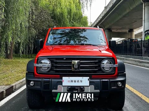 2025 Tank 300 2024 2.0T Conqueror - ავტომობილი ჩინეთიდან